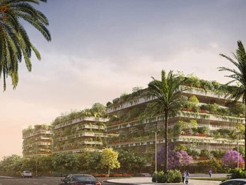 Africa’s vertical rainforest coming soon;a revolution in climate&nbsp;change